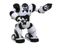 Remote Toys
